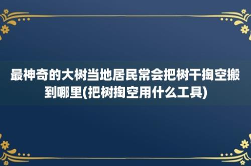 最神奇的大树当地居民常会把树干掏空搬到哪里(把树掏空用什么工具)