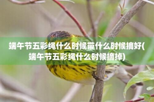 端午节五彩绳什么时候带什么时候摘好(端午节五彩绳什么时候摘掉)