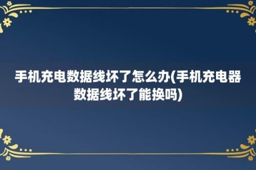 手机充电数据线坏了怎么办(手机充电器数据线坏了能换吗)