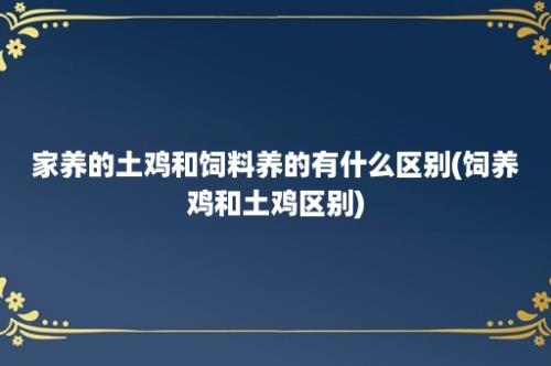 家养的土鸡和饲料养的有什么区别(饲养鸡和土鸡区别)