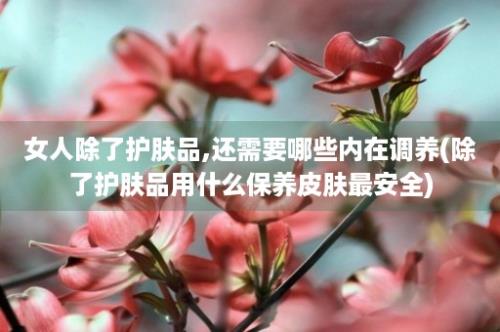 女人除了护肤品,还需要哪些内在调养(除了护肤品用什么保养皮肤最安全)