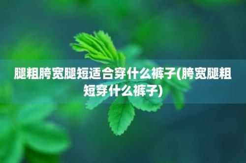 腿粗胯宽腿短适合穿什么裤子(胯宽腿粗短穿什么裤子)