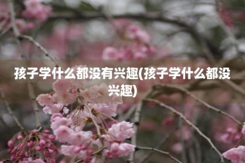 孩子学什么都没有兴趣(孩子学什么都没兴趣)