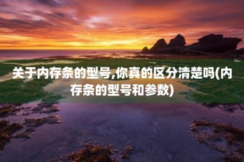 关于内存条的型号,你真的区分清楚吗(内存条的型号和参数)