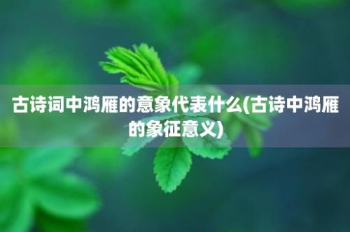 古诗词中鸿雁的意象代表什么(古诗中鸿雁的象征意义)