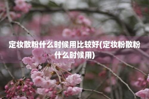 定妆散粉什么时候用比较好(定妆粉散粉什么时候用)