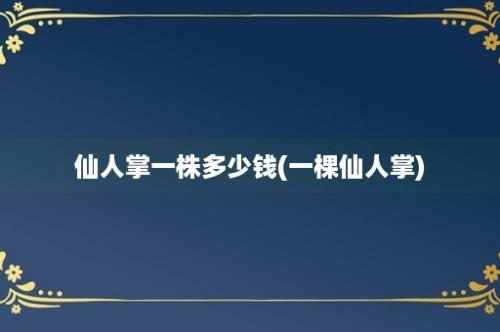 仙人掌一株多少钱(一棵仙人掌)