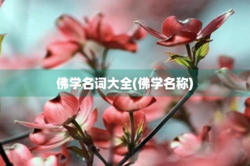 佛学名词大全(佛学名称)