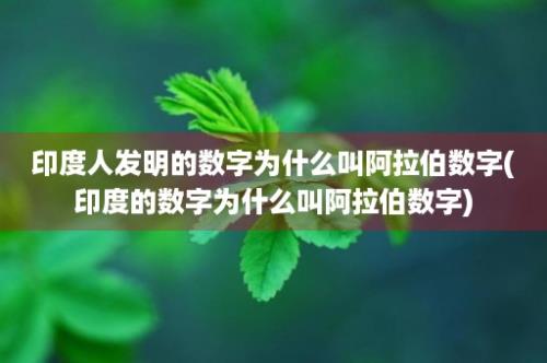 印度人发明的数字为什么叫阿拉伯数字(印度的数字为什么叫阿拉伯数字)