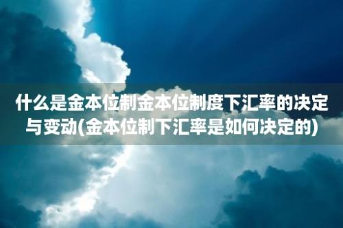 什么是金本位制金本位制度下汇率的决定与变动(金本位制下汇率是如何决定的)