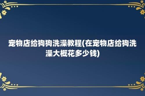 宠物店给狗狗洗澡教程(在宠物店给狗洗澡大概花多少钱)