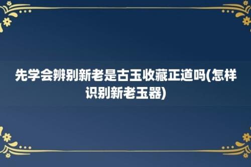 先学会辨别新老是古玉收藏正道吗(怎样识别新老玉器)