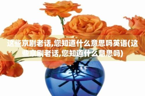 这些京剧老话,您知道什么意思吗英语(这些京剧老话,您知道什么意思吗)