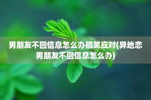 男朋友不回信息怎么办搞笑应对(异地恋男朋友不回信息怎么办)