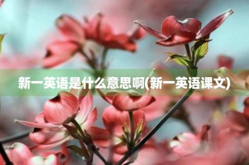 新一英语是什么意思啊(新一英语课文)