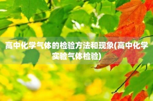 高中化学气体的检验方法和现象(高中化学实验气体检验)