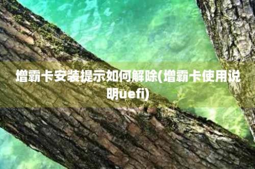 增霸卡安装提示如何解除(增霸卡使用说明uefi)