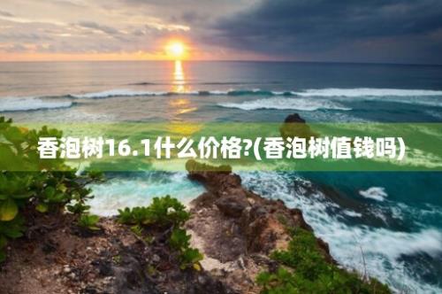 香泡树16.1什么价格?(香泡树值钱吗)