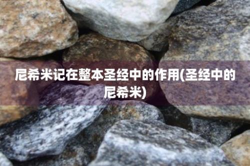 尼希米记在整本圣经中的作用(圣经中的尼希米)