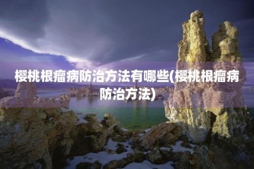 樱桃根瘤病防治方法有哪些(樱桃根瘤病防治方法)