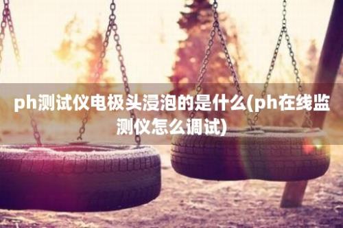 ph测试仪电极头浸泡的是什么(ph在线监测仪怎么调试)