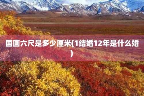 国画六尺是多少厘米(1结婚12年是什么婚)