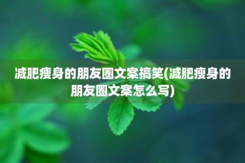 减肥瘦身的朋友圈文案搞笑(减肥瘦身的朋友圈文案怎么写)