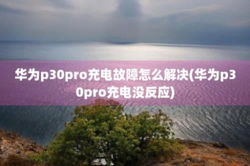 华为p30pro充电故障怎么解决(华为p30pro充电没反应)