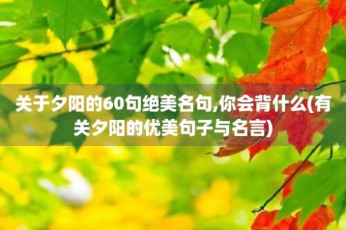 关于夕阳的60句绝美名句,你会背什么(有关夕阳的优美句子与名言)