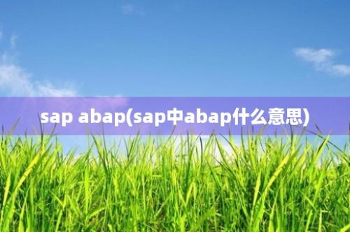 sap abap(sap中abap什么意思)