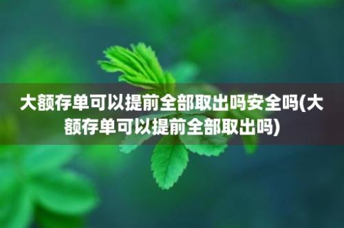 大额存单可以提前全部取出吗安全吗(大额存单可以提前全部取出吗)