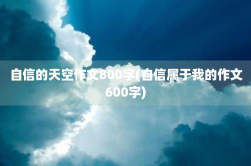 自信的天空作文800字(自信属于我的作文600字)