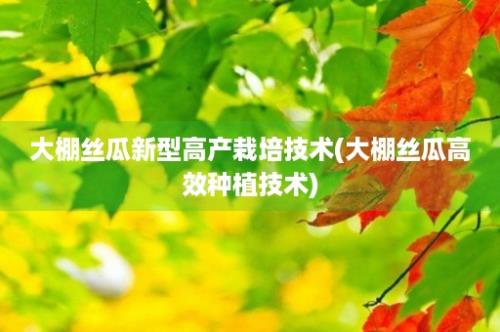 大棚丝瓜新型高产栽培技术(大棚丝瓜高效种植技术)