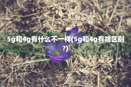 5g和4g有什么不一样(5g和4g有啥区别?)