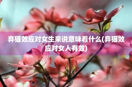 弃猫效应对女生来说意味着什么(弃猫效应对女人有效)