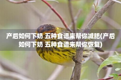 产后如何下奶 五种食谱来帮你减肥(产后如何下奶 五种食谱来帮你恢复)