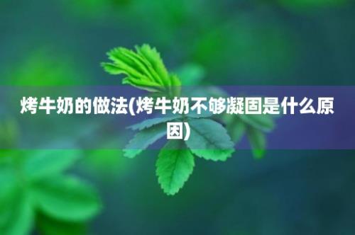 烤牛奶的做法(烤牛奶不够凝固是什么原因)