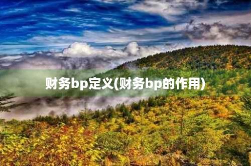 财务bp定义(财务bp的作用)