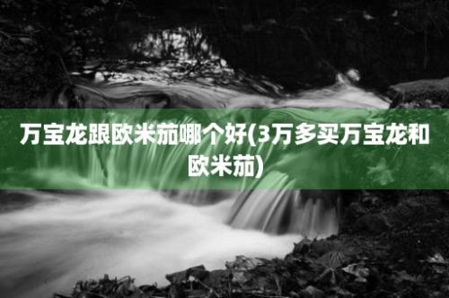 万宝龙跟欧米茄哪个好(3万多买万宝龙和欧米茄)