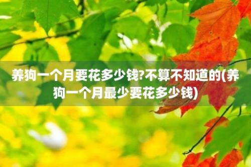 养狗一个月要花多少钱?不算不知道的(养狗一个月最少要花多少钱)