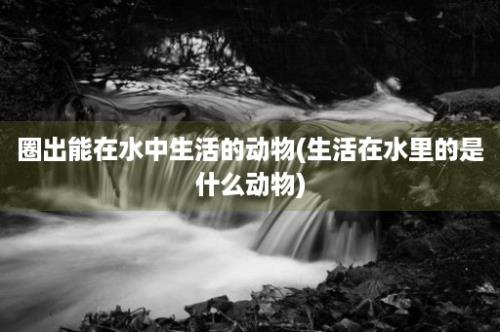 圈出能在水中生活的动物(生活在水里的是什么动物)