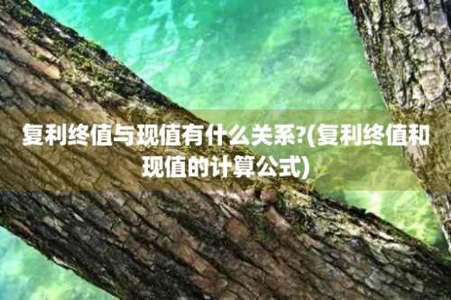 复利终值与现值有什么关系?(复利终值和现值的计算公式)