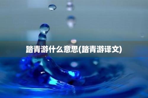 踏青游什么意思(踏青游译文)