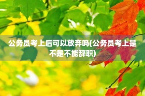 公务员考上后可以放弃吗(公务员考上是不是不能辞职)