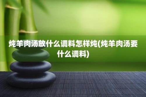 炖羊肉汤放什么调料怎样炖(炖羊肉汤要什么调料)