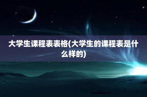 大学生课程表表格(大学生的课程表是什么样的)