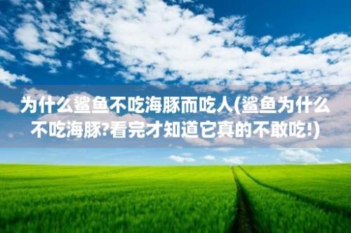 为什么鲨鱼不吃海豚而吃人(鲨鱼为什么不吃海豚?看完才知道它真的不敢吃!)