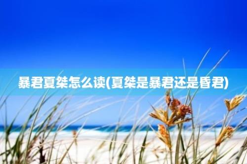 暴君夏桀怎么读(夏桀是暴君还是昏君)