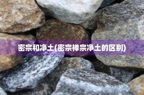 密宗和净土(密宗禅宗净土的区别)