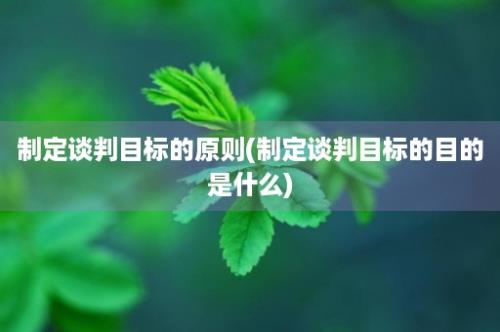 制定谈判目标的原则(制定谈判目标的目的是什么)